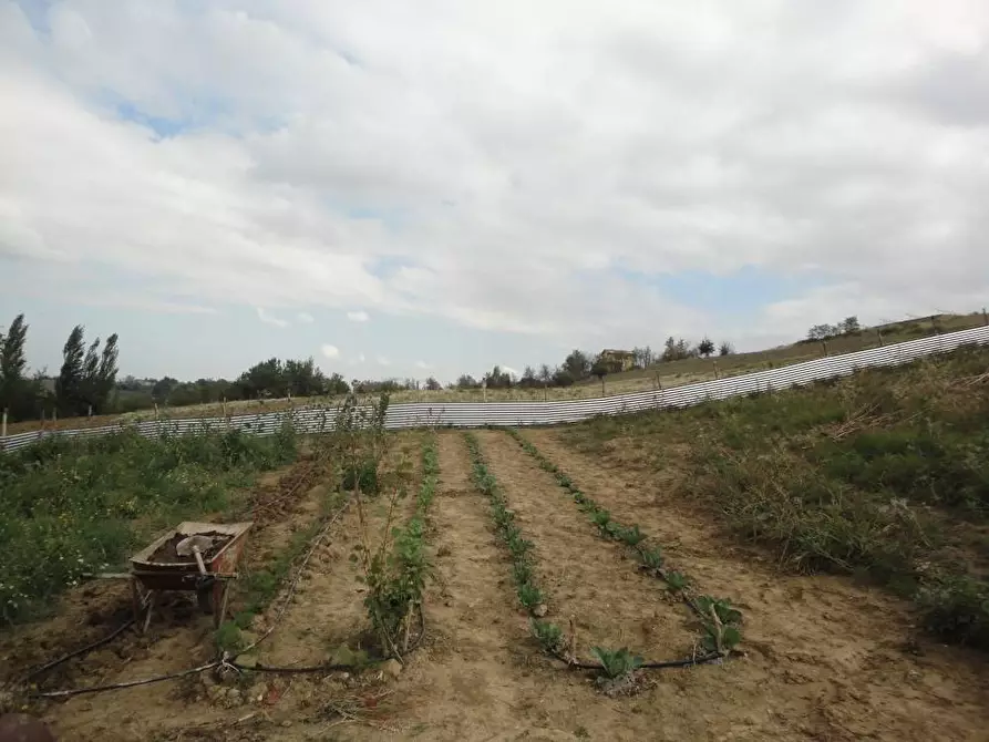 Immagine 5 di Agriturismo in vendita  in Via Santa Maria del Monte 10 a Belvedere Ostrense