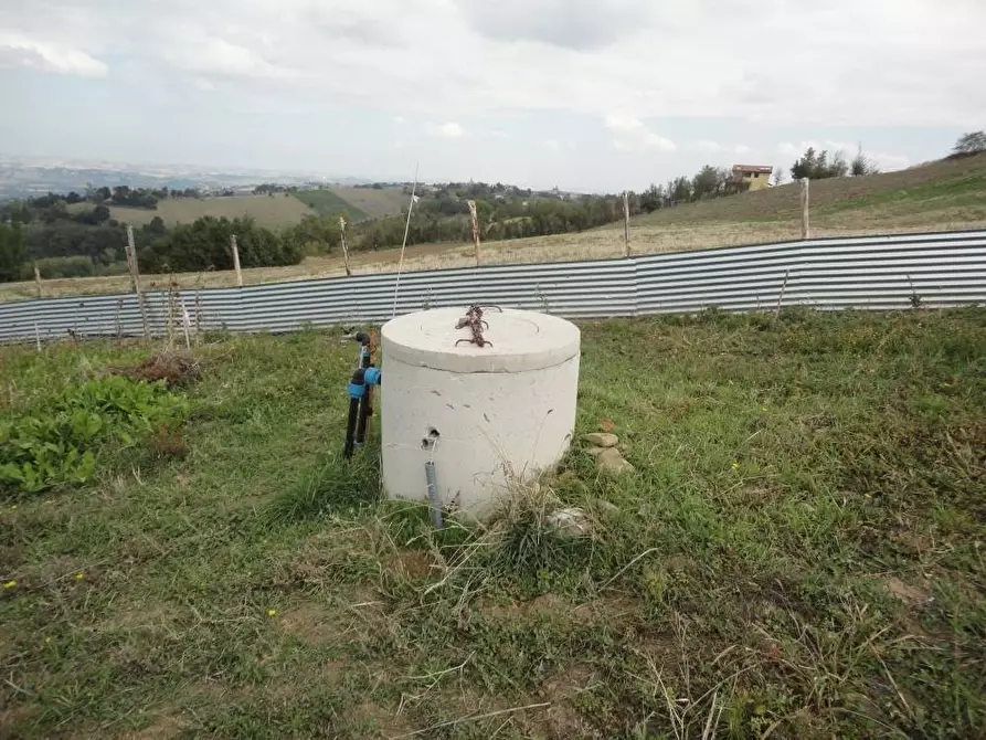 Immagine 4 di Agriturismo in vendita  in Via Santa Maria del Monte 10 a Belvedere Ostrense