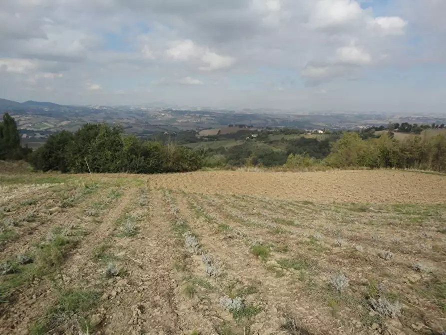 Immagine 6 di Agriturismo in vendita  in Via Santa Maria del Monte 10 a Belvedere Ostrense
