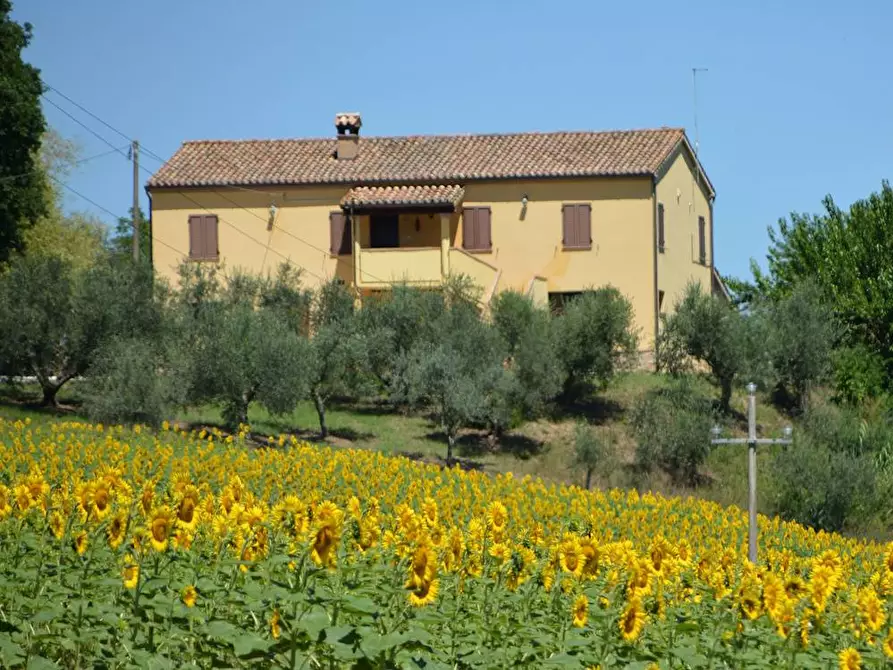 Immagine 1 di Villa in vendita  in Via Monticelli 6 a Castelplanio
