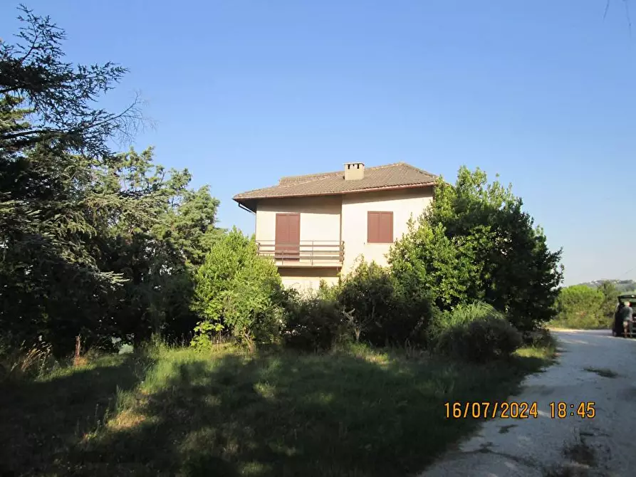 Immagine 3 di Villa in vendita  in via Torre 26/a a Cupramontana