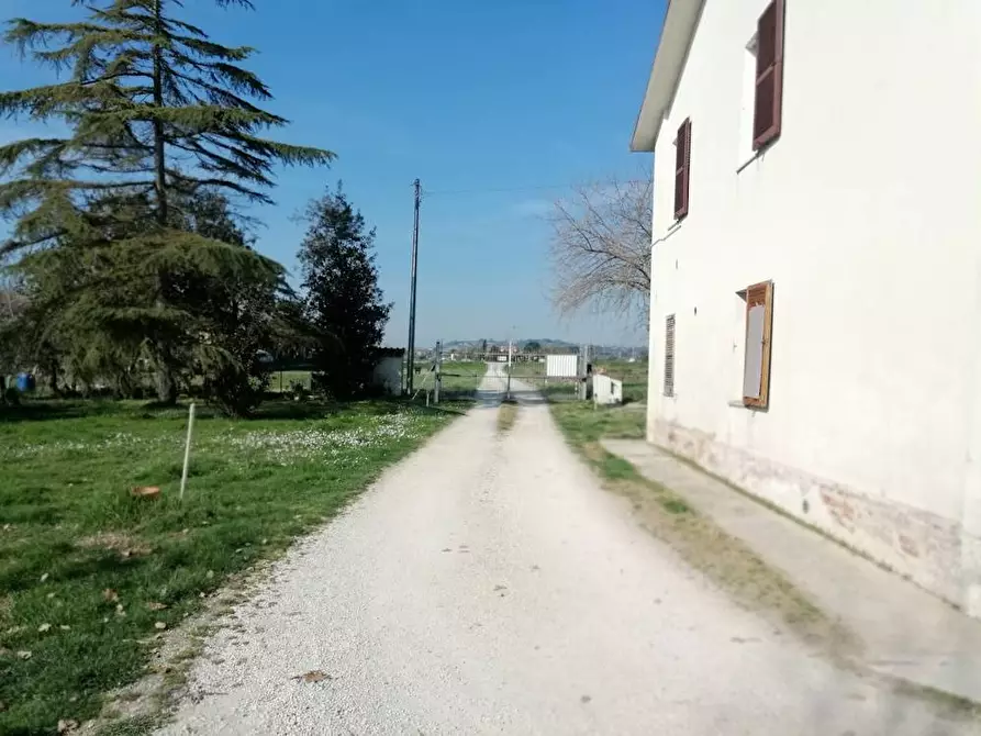 Immagine 22 di Appartamento in vendita  in Via Selva 111 a Monte San Vito