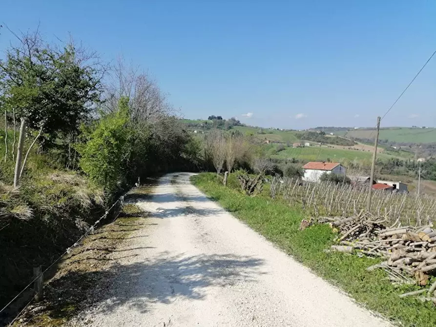 Immagine 8 di Rustico / casale in vendita  in Via Forcone 1 a Cupramontana