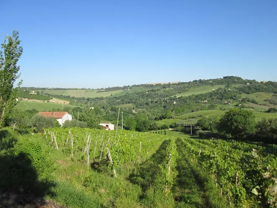 Immagine 3 di Rustico / casale in vendita  in Via Forcone 1 a Cupramontana