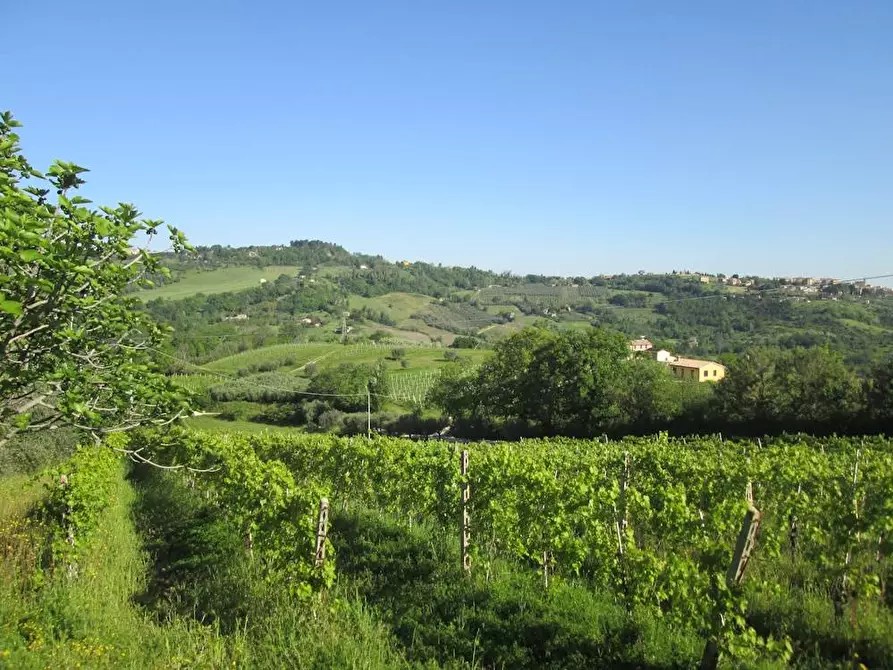 Immagine 4 di Rustico / casale in vendita  in Via Forcone 1 a Cupramontana