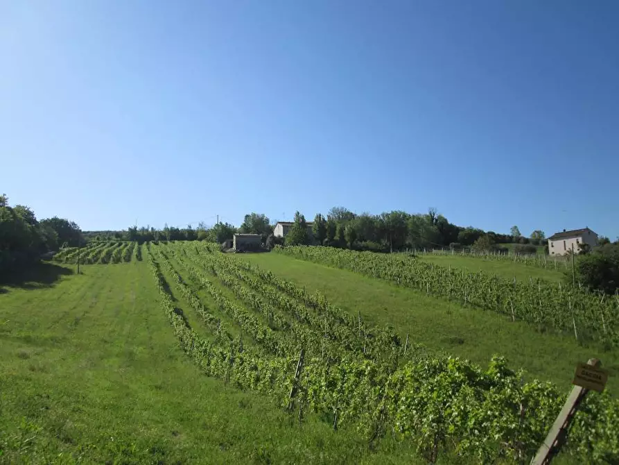 Immagine 5 di Rustico / casale in vendita  in Via Forcone 1 a Cupramontana