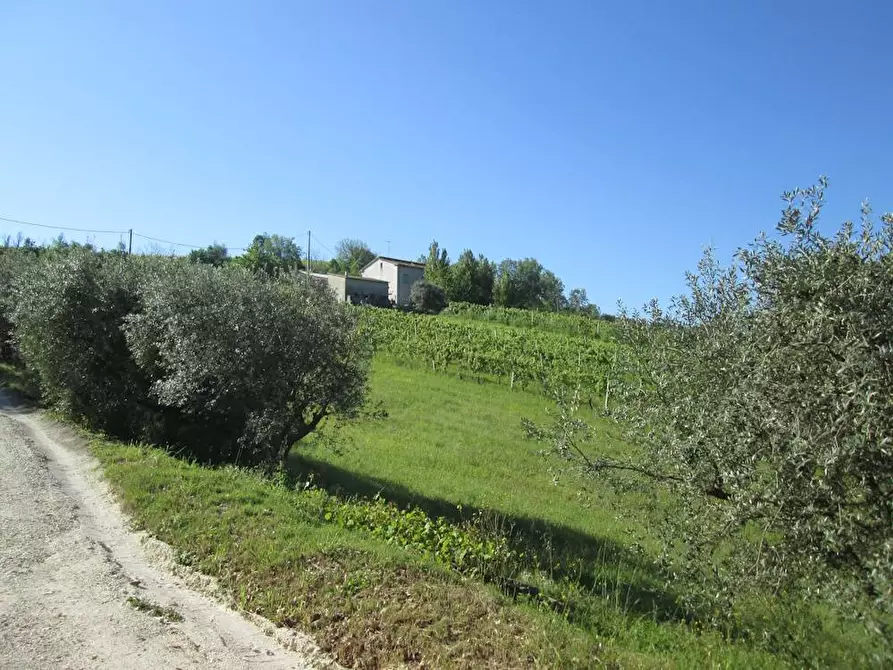 Immagine 6 di Rustico / casale in vendita  in Via Forcone 1 a Cupramontana