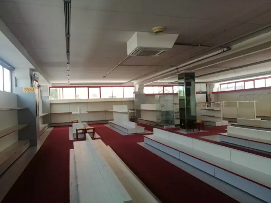 Immagine 7 di Locale commerciale in vendita  in Via Don Minzoni 47 a Castelbellino