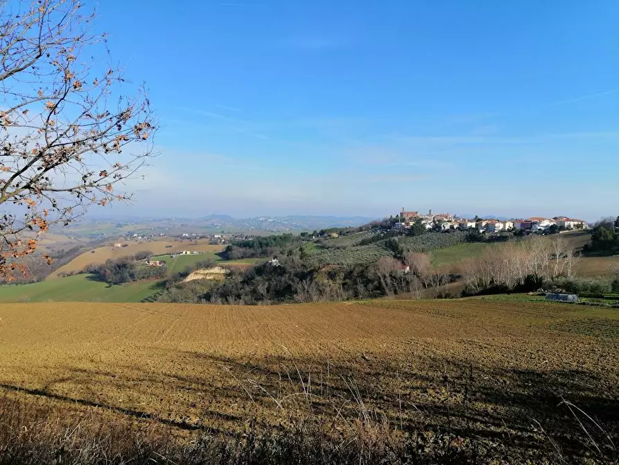 Immagine 10 di Villa in vendita  in Via francesco Contuzzi a Belvedere Ostrense