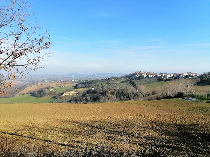 Immagine 19 di Villa in vendita  in Via francesco Contuzzi a Belvedere Ostrense