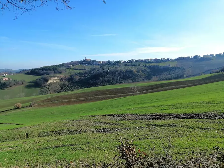 Immagine 6 di Villa in vendita  in Via francesco Contuzzi a Belvedere Ostrense