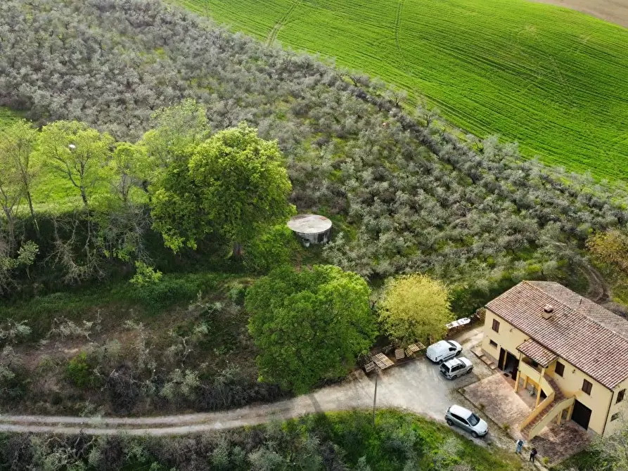 Immagine 4 di Rustico / casale in vendita  in Via Monticelli 6 a Castelplanio