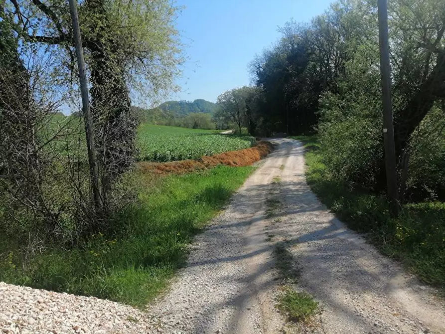 Immagine 9 di Rustico / casale in vendita  in localita'  casacolonna 1 a Sassoferrato
