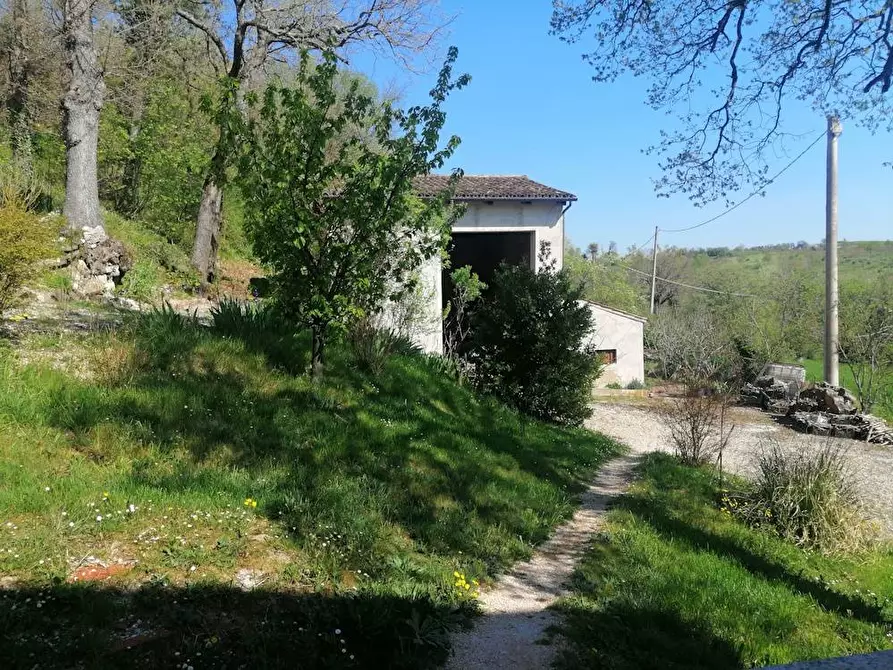 Immagine 7 di Rustico / casale in vendita  in localita'  casacolonna 1 a Sassoferrato