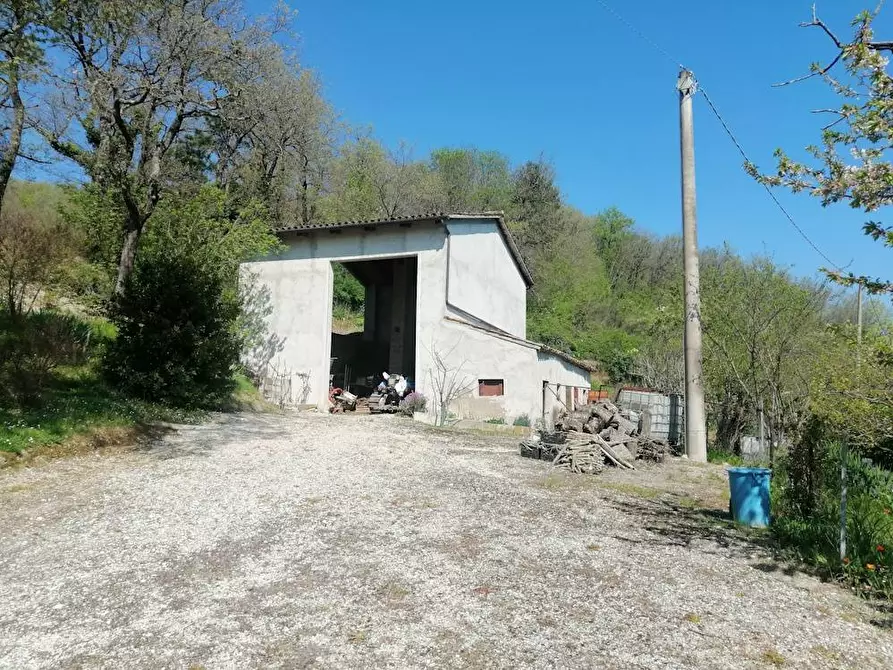 Immagine 6 di Rustico / casale in vendita  in localita'  casacolonna 1 a Sassoferrato