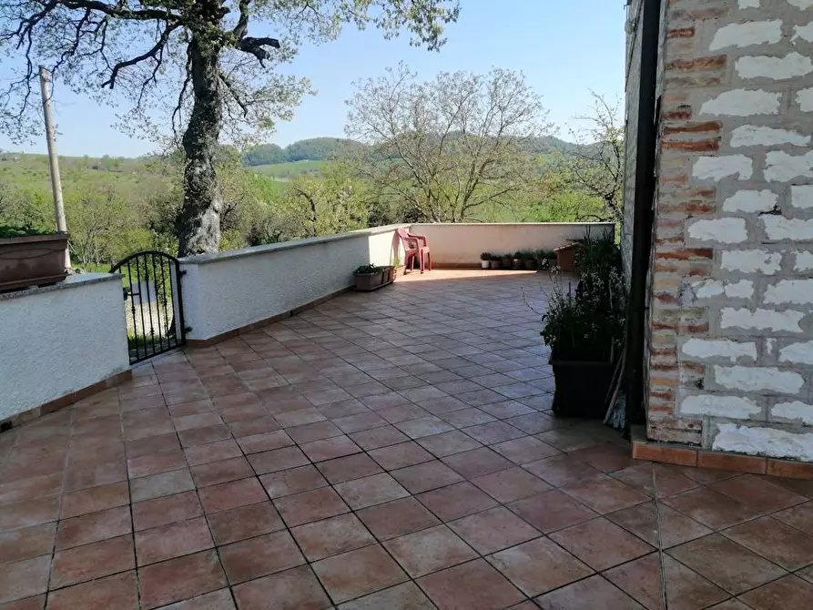 Immagine 8 di Rustico / casale in vendita  in localita'  casacolonna 1 a Sassoferrato