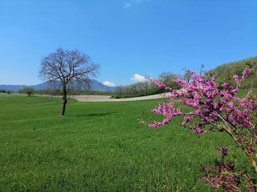 Immagine 12 di Rustico / casale in vendita  in localita'  casacolonna 1 a Sassoferrato