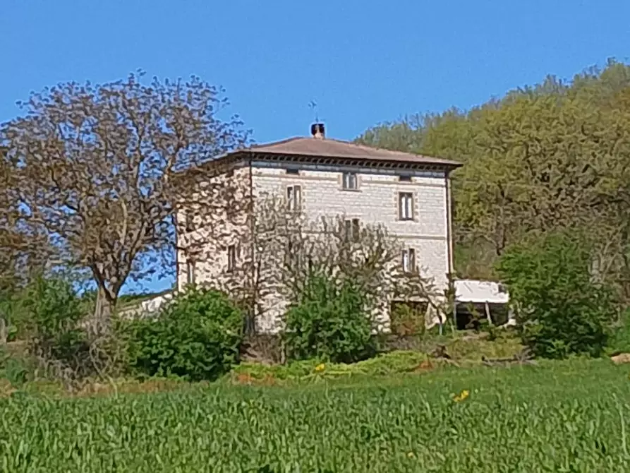 Immagine 1 di Rustico / casale in vendita  in localita'  casacolonna 1 a Sassoferrato