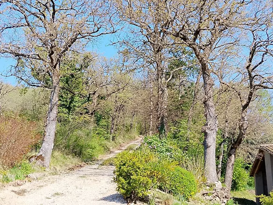 Immagine 11 di Rustico / casale in vendita  in localita'  casacolonna 1 a Sassoferrato