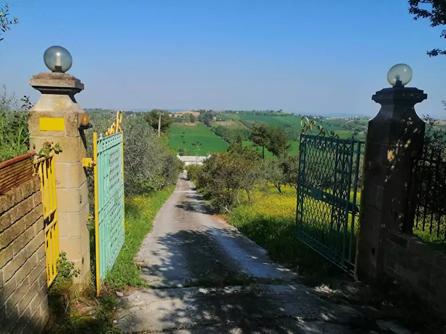Immagine 5 di Villa in vendita  in Via francesco Contuzzi a Belvedere Ostrense