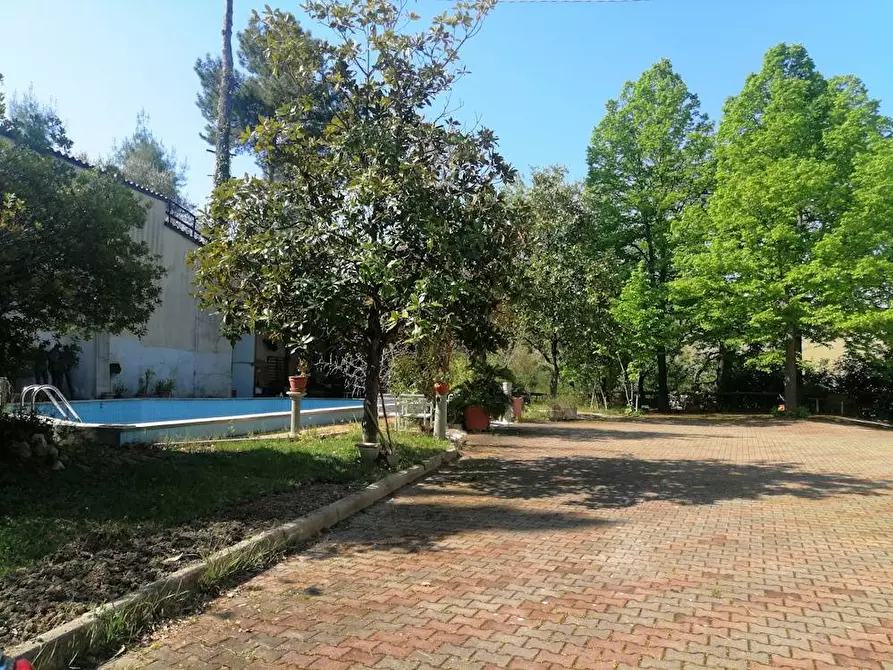 Immagine 7 di Villa in vendita  in Via francesco Contuzzi a Belvedere Ostrense