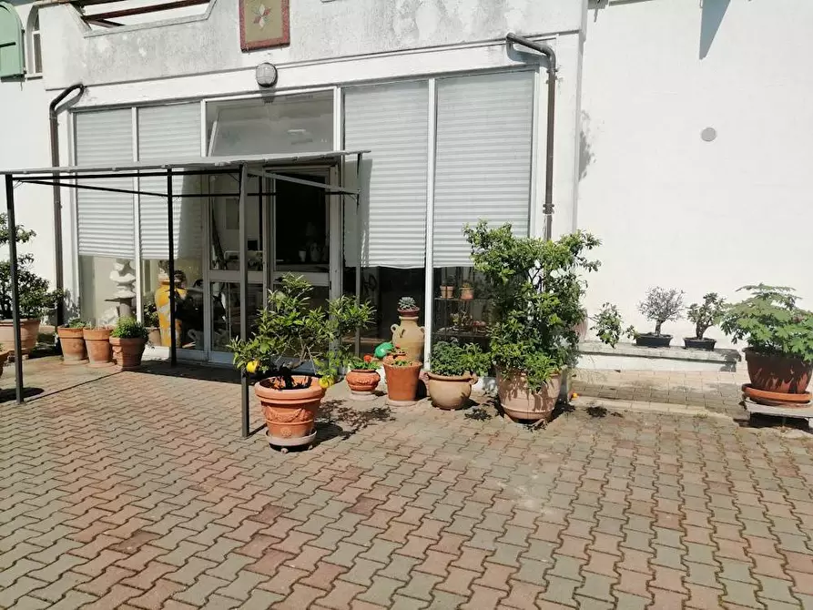 Immagine 4 di Villa in vendita  in Via francesco Contuzzi a Belvedere Ostrense