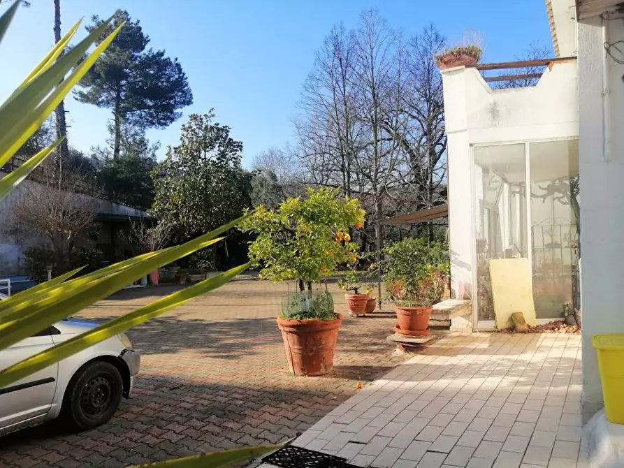Immagine 5 di Villa in vendita  in Via francesco Contuzzi a Belvedere Ostrense