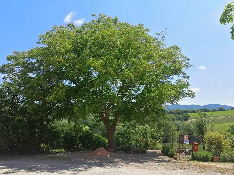 Immagine 12 di Rustico / casale in vendita  in localita'  casacolonna 1 a Sassoferrato