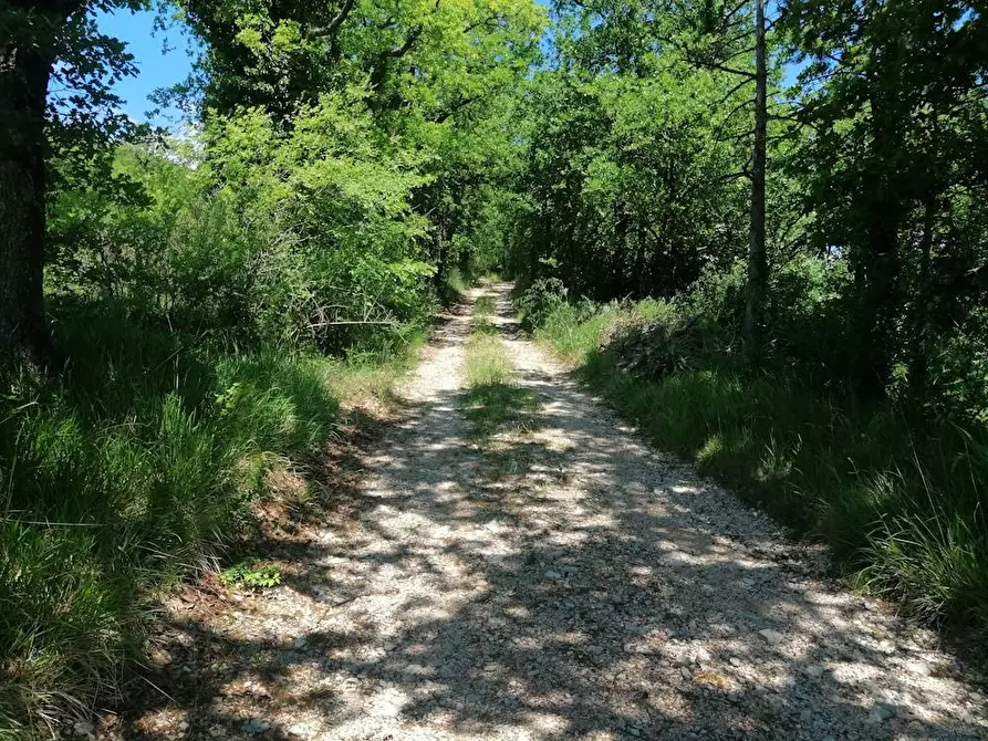 Immagine 10 di Rustico / casale in vendita  in localita'  casacolonna 1 a Sassoferrato