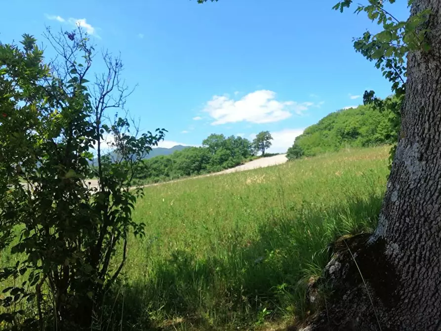 Immagine 16 di Rustico / casale in vendita  in localita'  casacolonna 1 a Sassoferrato