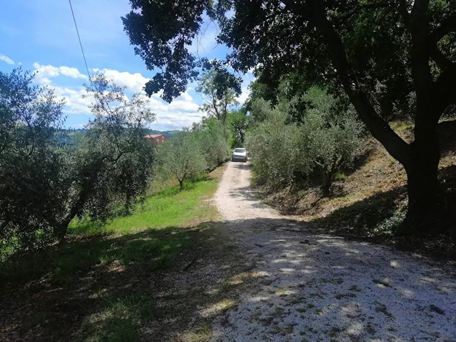 Immagine 38 di Rustico / casale in vendita  in Via Monticelli 6 a Castelplanio