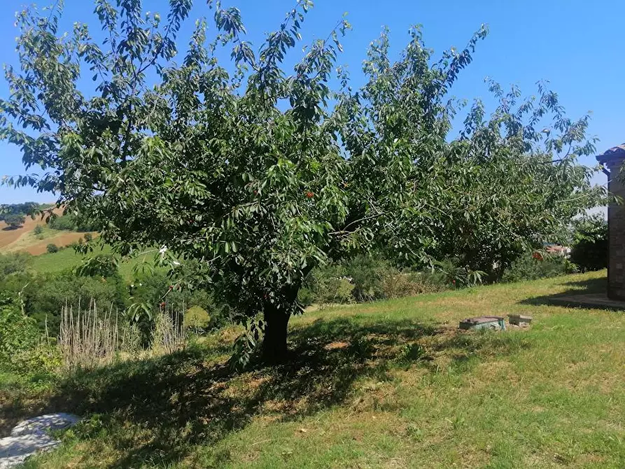 Immagine 37 di Rustico / casale in vendita  in Via Monticelli 6 a Castelplanio
