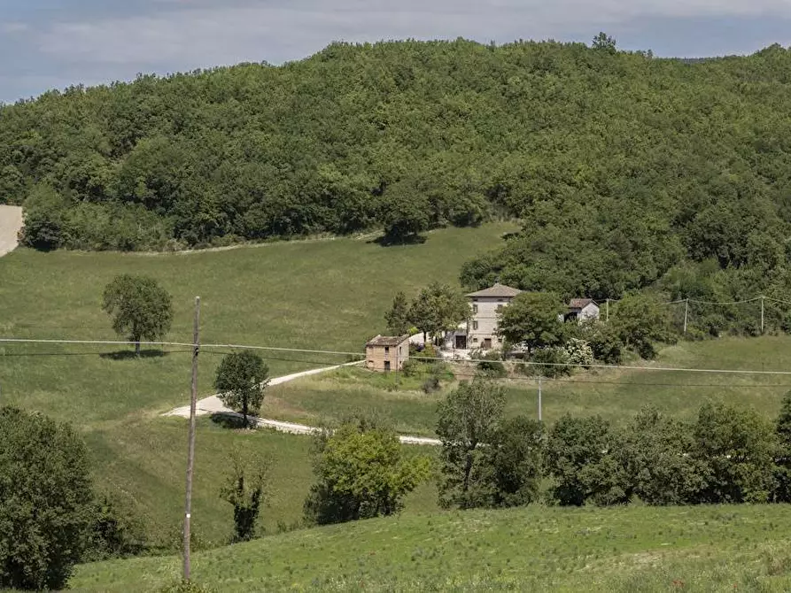 Immagine 1 di Rustico / casale in vendita  in localita'  casacolonna 1 a Sassoferrato