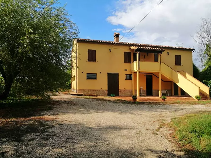 Immagine 4 di Rustico / casale in vendita  in Via Monticelli 6 a Castelplanio
