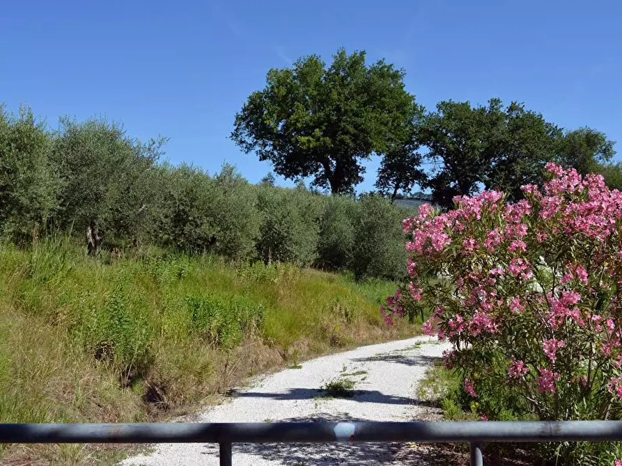 Immagine 23 di Rustico / casale in vendita  in Via Monticelli 6 a Castelplanio