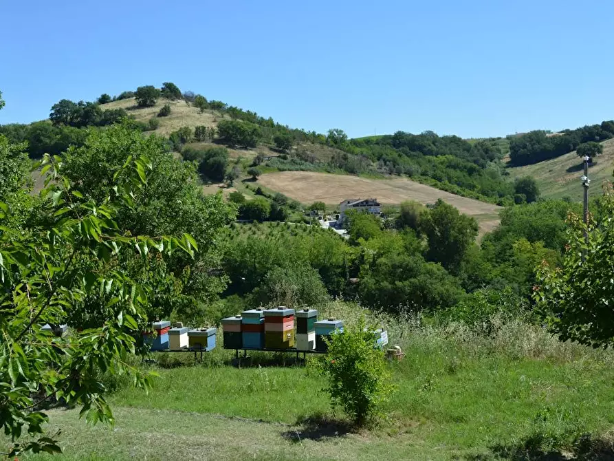 Immagine 34 di Rustico / casale in vendita  in Via Monticelli 6 a Castelplanio