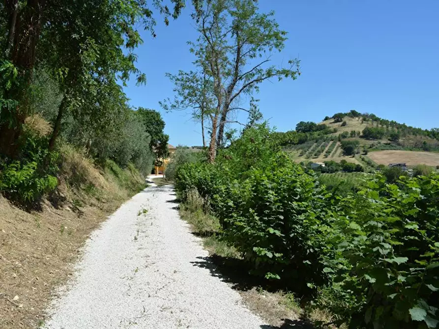 Immagine 25 di Rustico / casale in vendita  in Via Monticelli 6 a Castelplanio