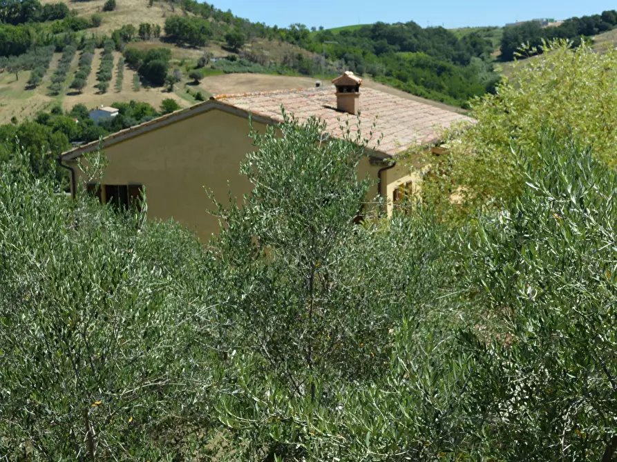 Immagine 7 di Rustico / casale in vendita  in Via Monticelli 6 a Castelplanio