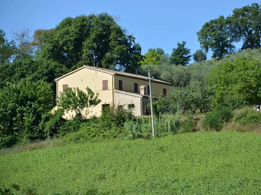 Immagine 6 di Rustico / casale in vendita  in Via Monticelli 6 a Castelplanio