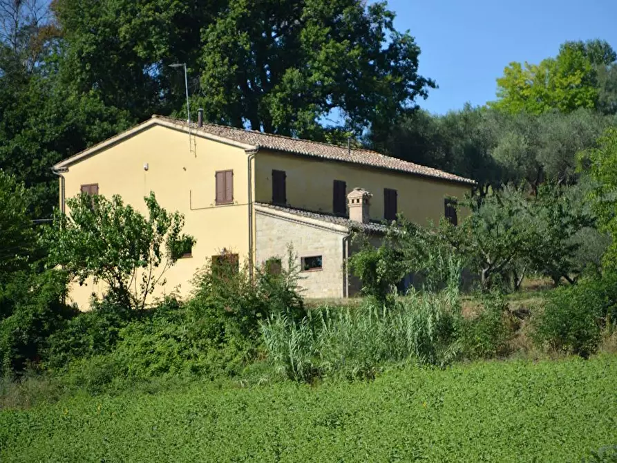 Immagine 9 di Rustico / casale in vendita  in Via Monticelli 6 a Castelplanio