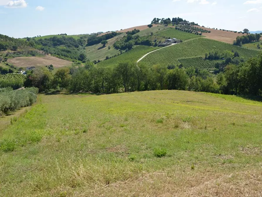 Immagine 21 di Rustico / casale in vendita  in Via Monticelli 6 a Castelplanio