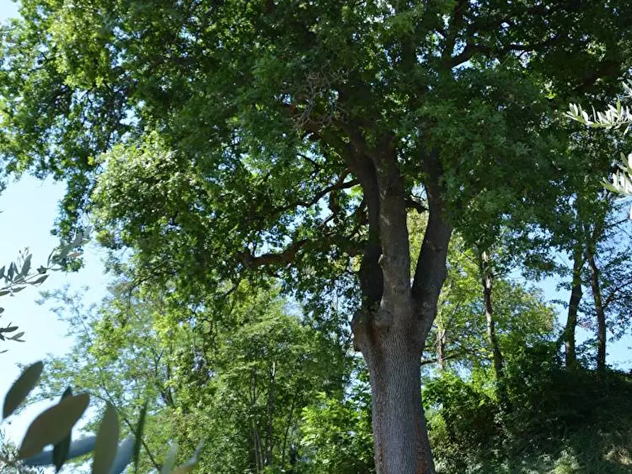 Immagine 14 di Rustico / casale in vendita  in Via Monticelli 6 a Castelplanio