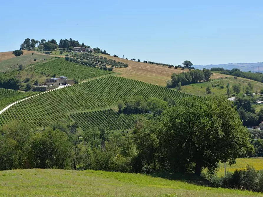 Immagine 26 di Rustico / casale in vendita  in Via Monticelli 6 a Castelplanio