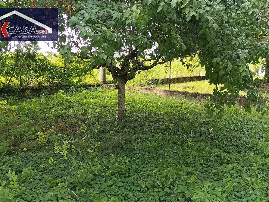 Immagine 6 di Terreno residenziale in vendita  in VIA SANTA INNOCENTE a Bagnaria Arsa