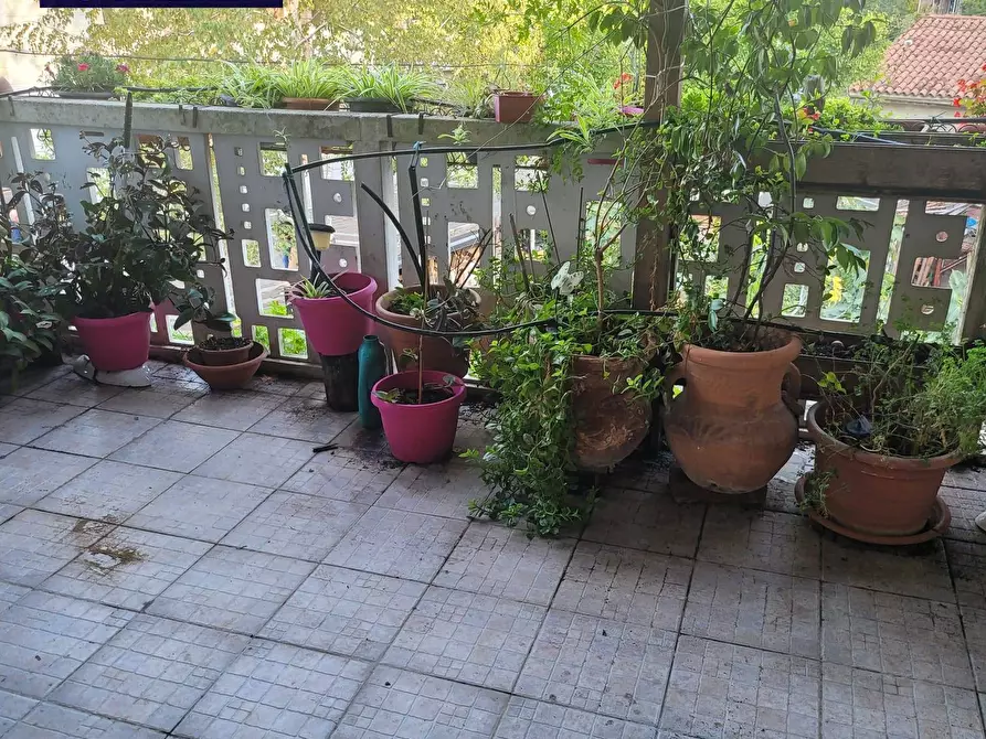 Immagine 22 di Casa indipendente in vendita  in PIAZZA DANTE ALIGHIERI a Staranzano