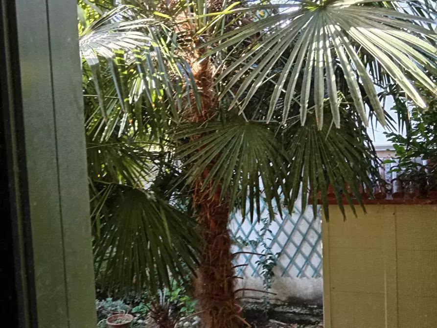 Immagine 28 di Appartamento in vendita  in Via San Polo a Monfalcone