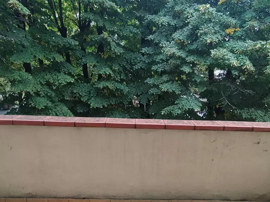 Immagine 16 di Appartamento in vendita  in VIALE SAN MARCO a Monfalcone