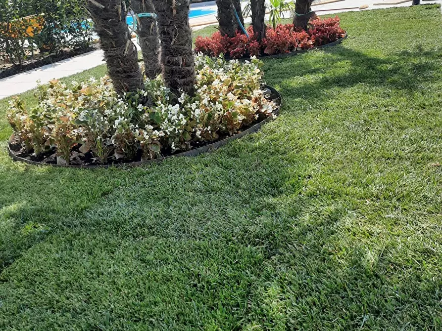 Immagine 24 di Palazzo in vendita  in località Ca di Mezzo a Bussolengo