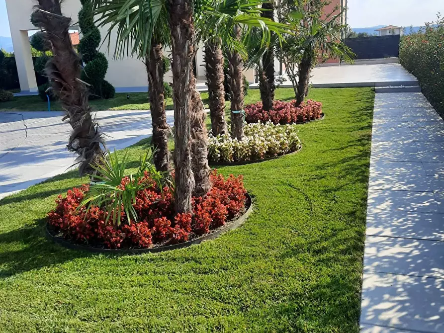 Immagine 26 di Palazzo in vendita  in località Ca di Mezzo a Bussolengo