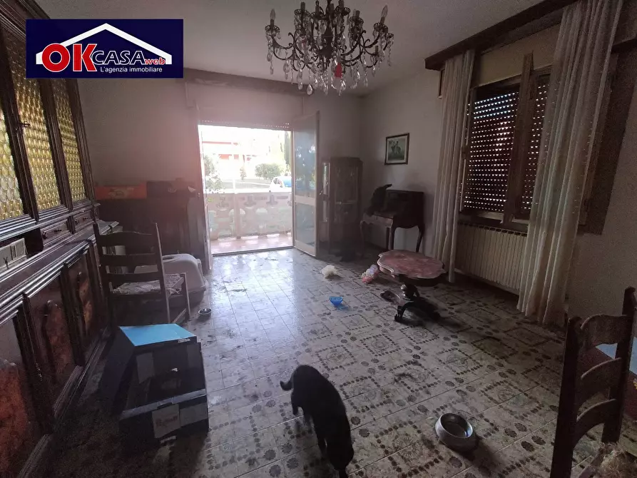 Immagine 11 di Appartamento in vendita  in Via Asiola a Bagnaria Arsa